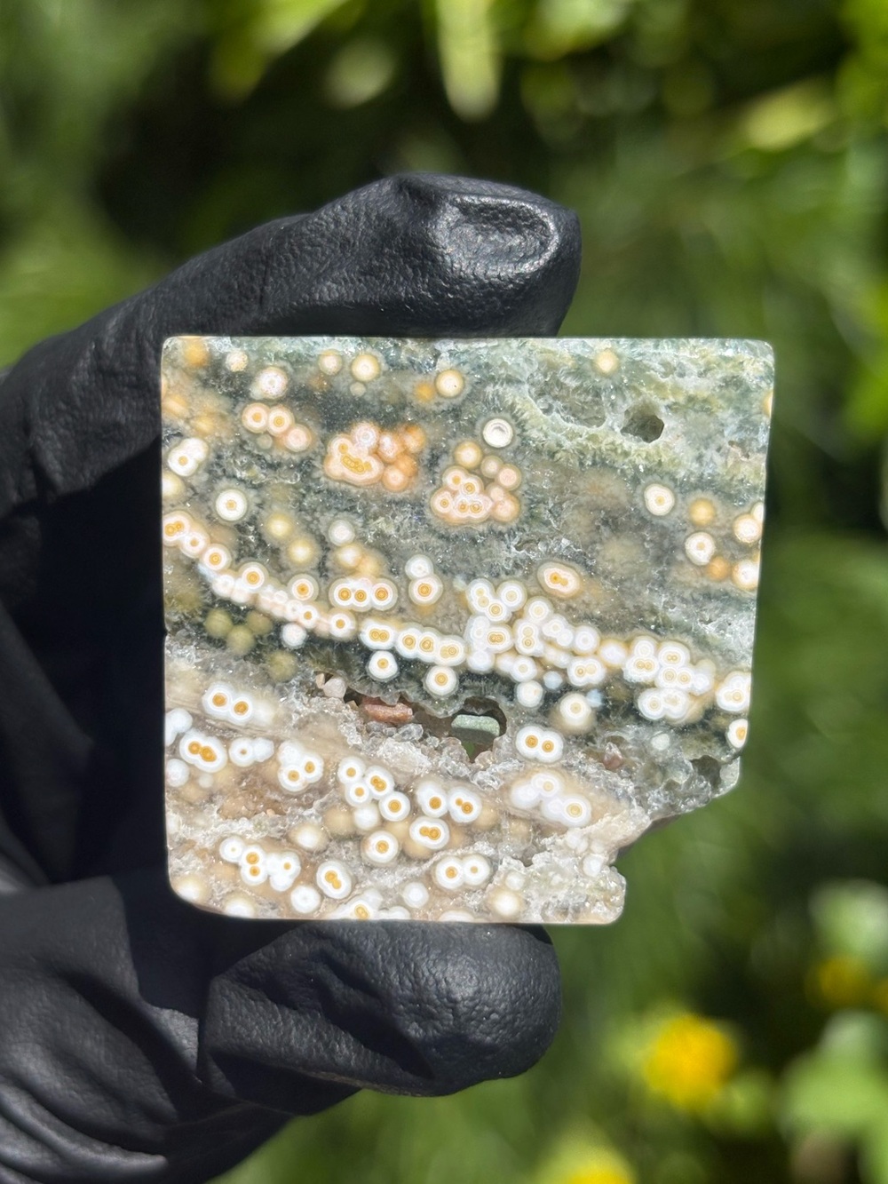 Ocean Jasper Small Square Slab - Polished Orbicular Jasper - Sea Jasper